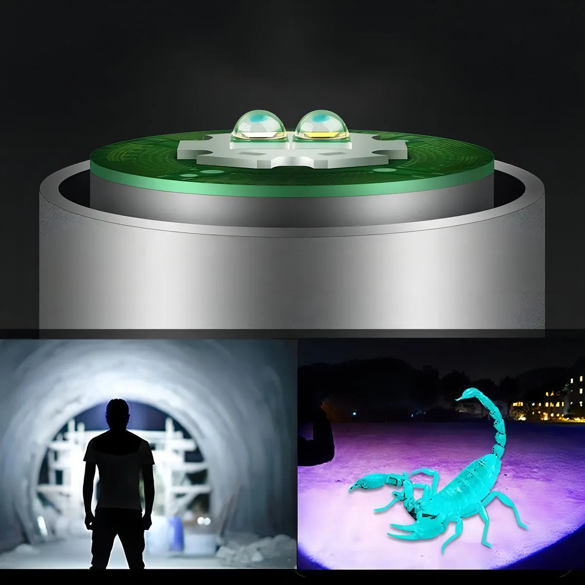 Linterna UV 395NM Recargable – Detección de Manchas, Billetes, Hongos y Minerales | Luz LED Blanca + Morada